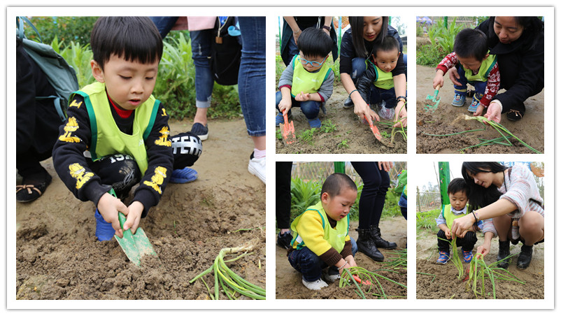 BBunion国际早教厦门世贸中心：植树节户外体验